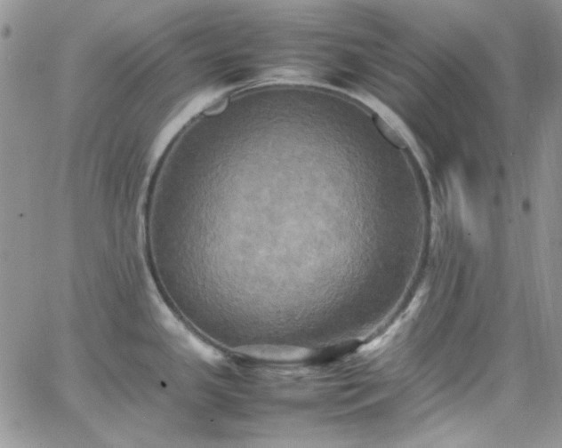 X0000066521341200603201314