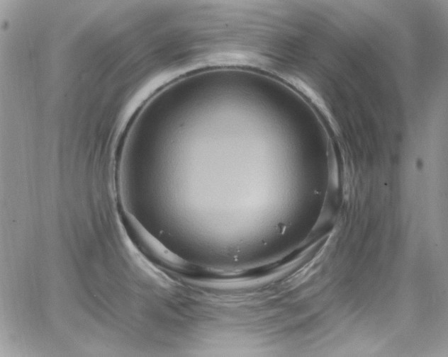 X0000066521342200603201314