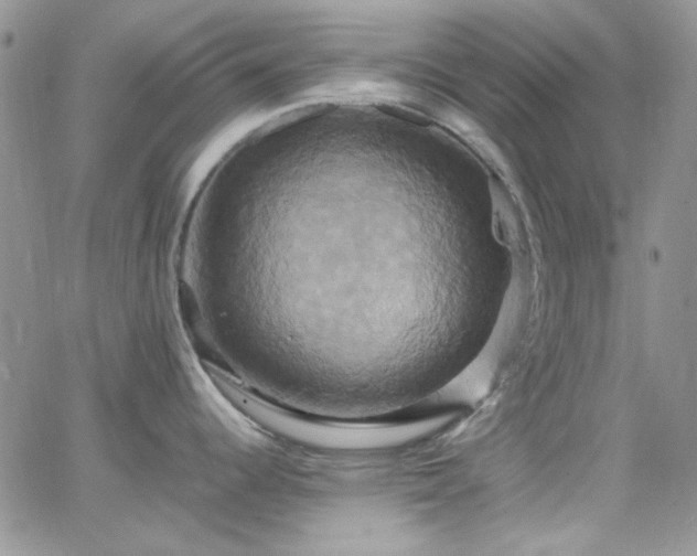 X0000066521344200603201314