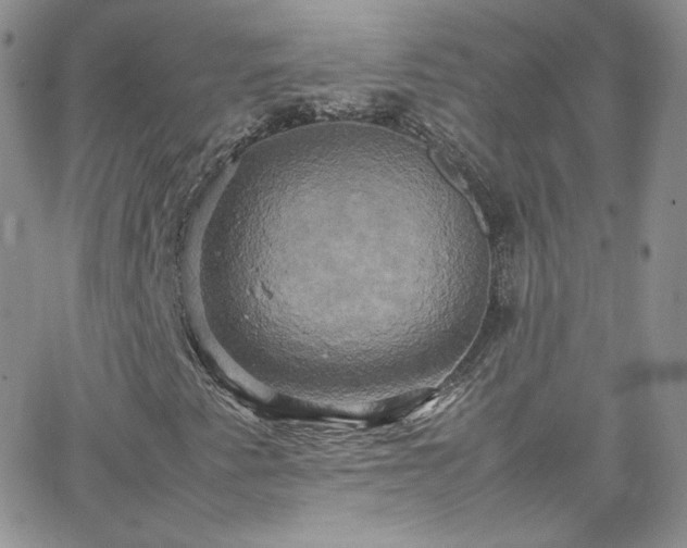 X0000066521345200603201313