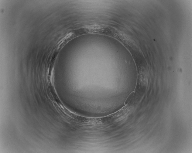 X0000066521346200603201313