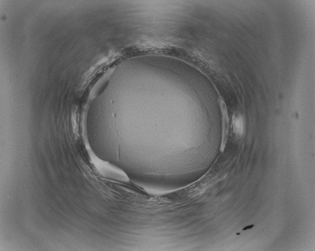 X0000066521348200603201313