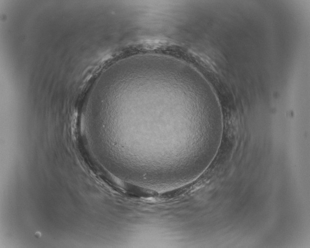 X0000066521349200603201313