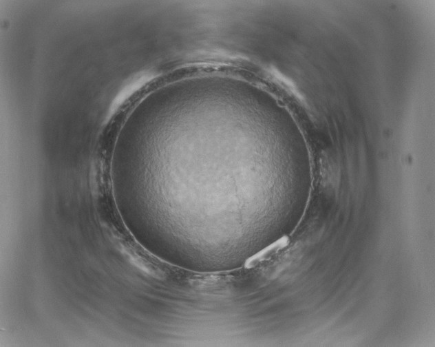 X0000066521352200603201313