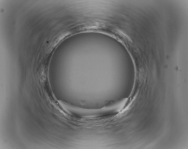 X0000066521353200603201313