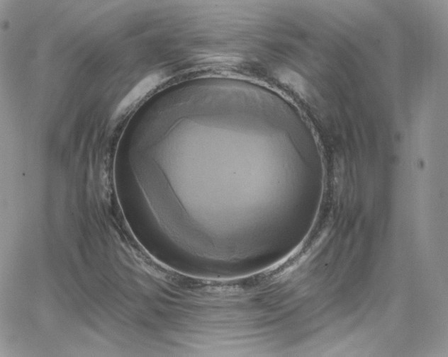 X0000066521354200603201313