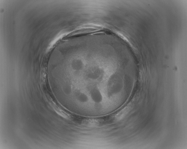 X0000066521355200603201313