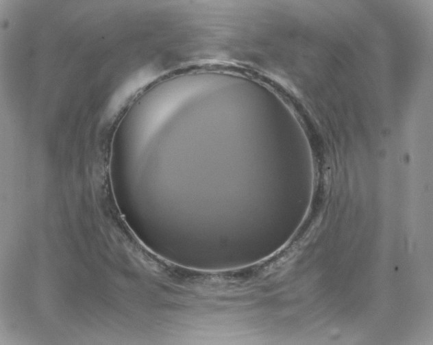 X0000066521359200603201313