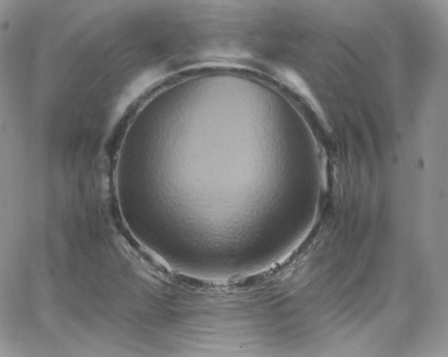 X0000066521360200603201313