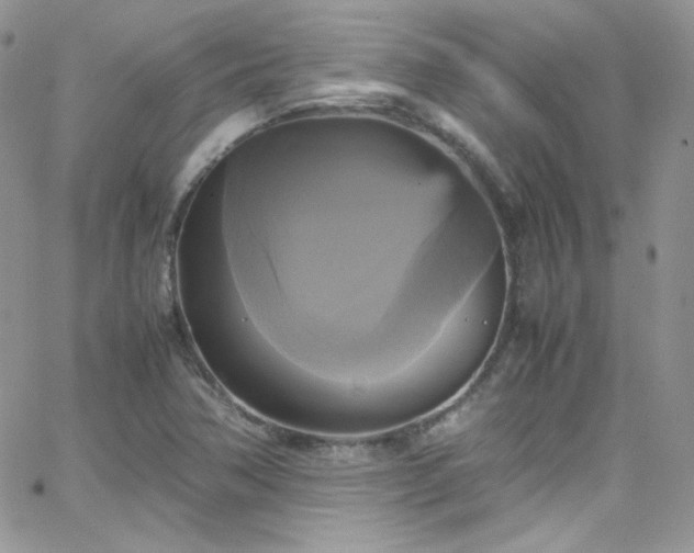 X0000066521362200603201313