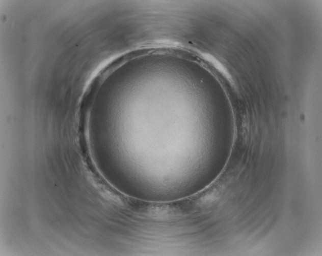 X0000066521364200603201313