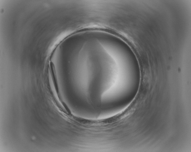 X0000066521367200603201313