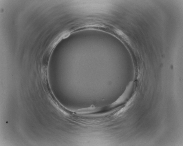 X0000066521369200603201313