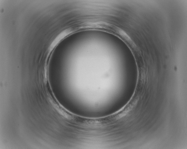 X0000066521370200603201313