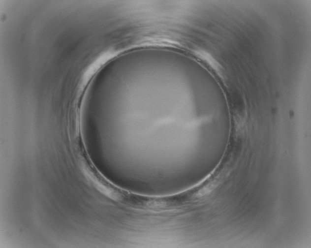 X0000066521371200603201313