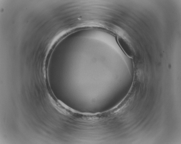 X0000066521372200603201313