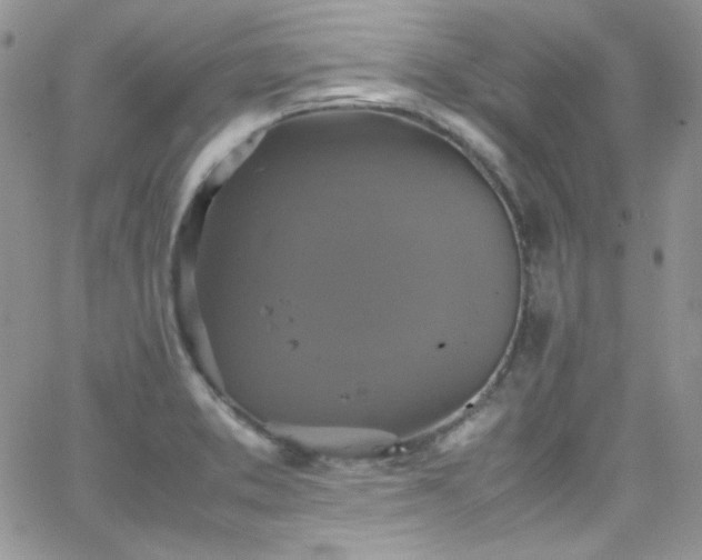 X0000066521373200603201313