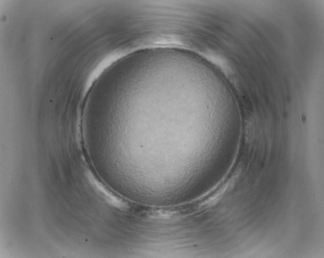 X0000066521374200603201313