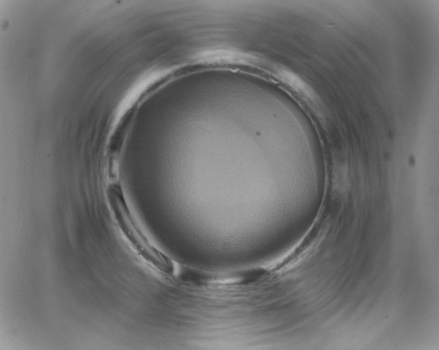 X0000066521376200603201313