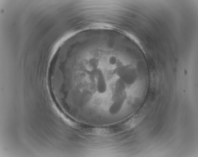 X0000066521379200603201312