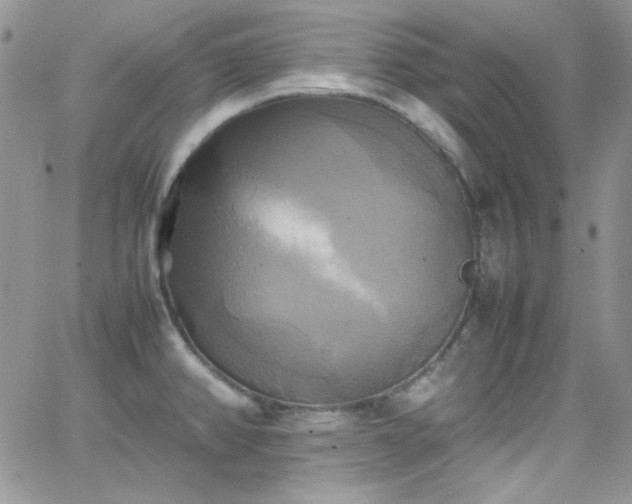 X0000066521382200603201312