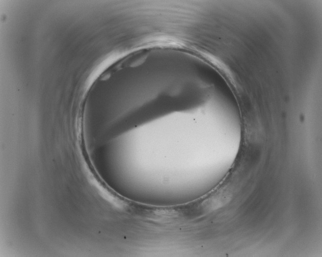 X0000066521383200603201312