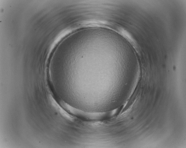 X0000066521384200603201312