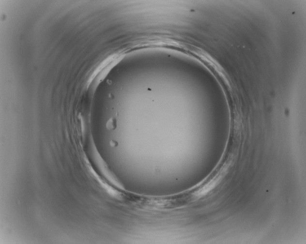 X0000066521385200603201312