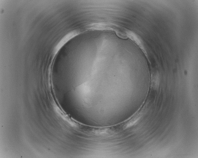 X0000066521386200603201312