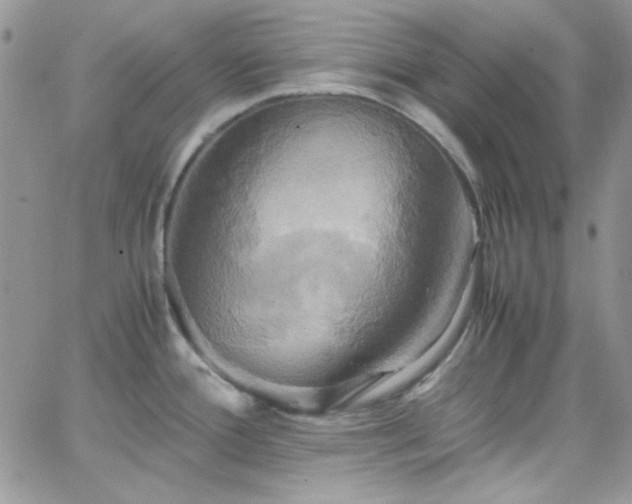 X0000066521388200603201312