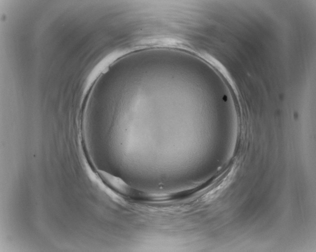 X0000066521389200603201312