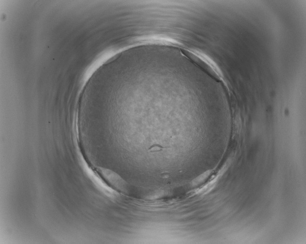 X0000066521391200603201312