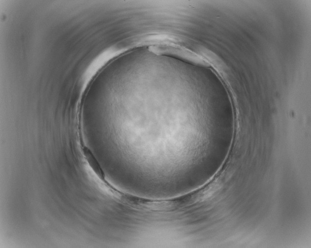 X0000066521392200603201312