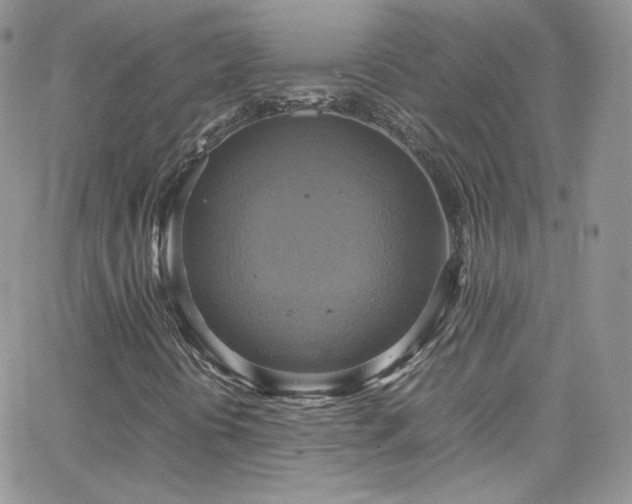 X0000066521394200603201311