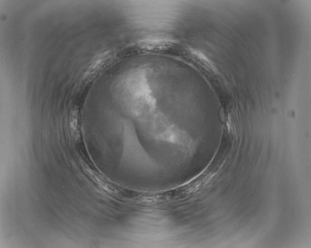 X0000066521396200603201312