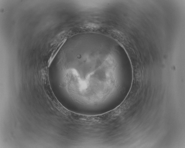 X0000066521397200603201312