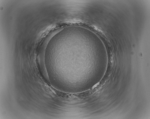 X0000066521398200603201312