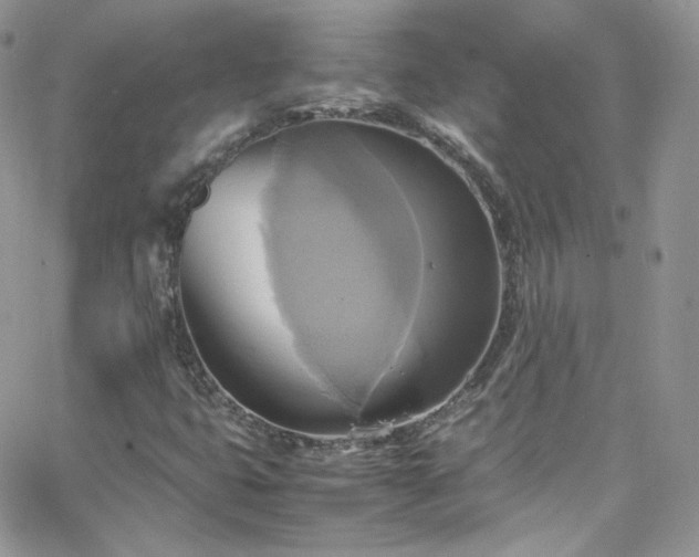 X0000066521399200603201312