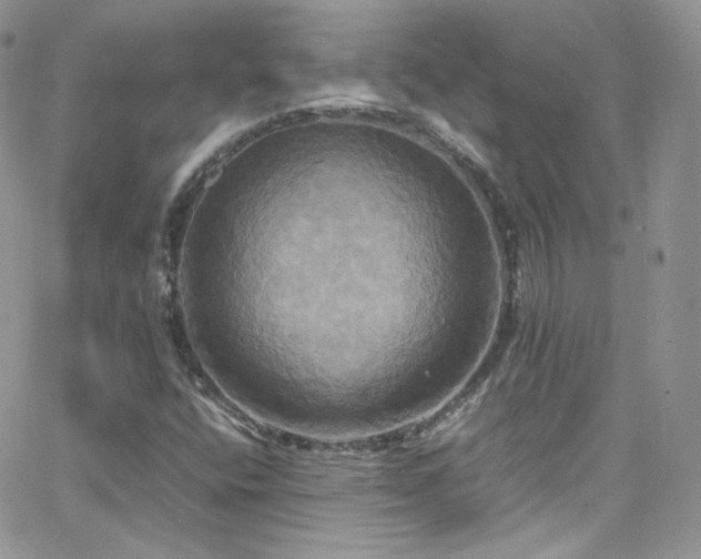 X0000066521400200603201312