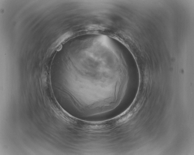 X0000066521401200603201312