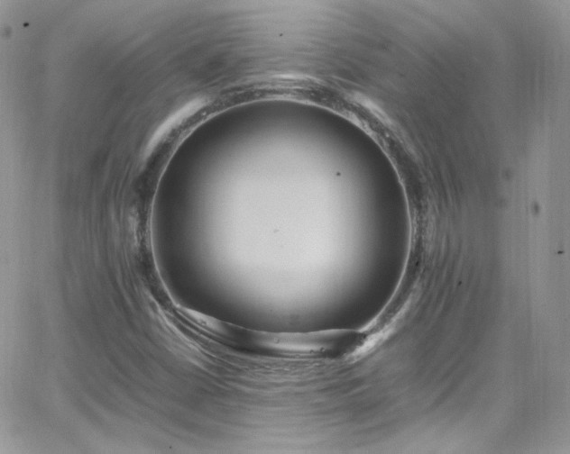 X0000066521402200603201312