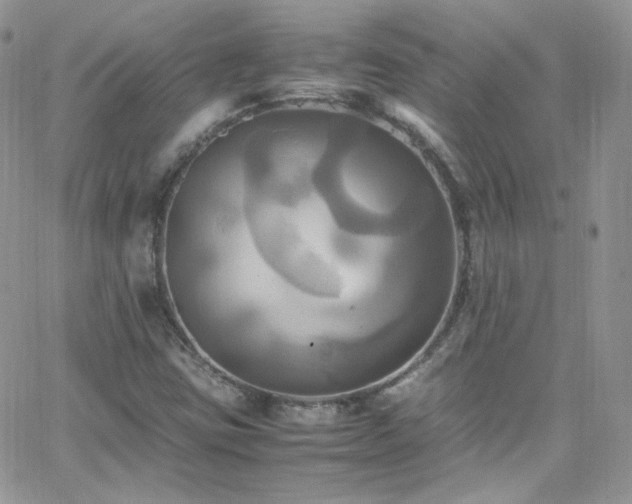 X0000066521403200603201312