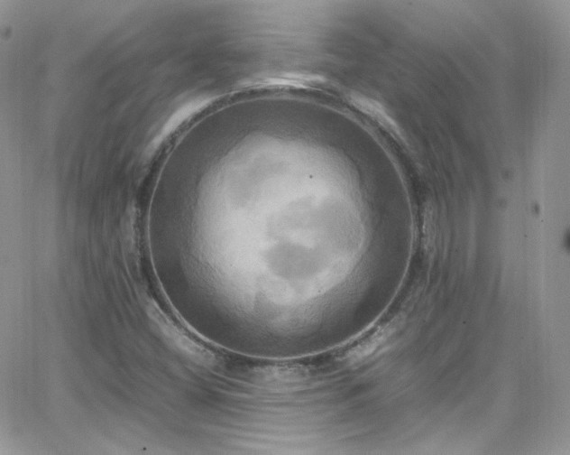 X0000066521404200603201312