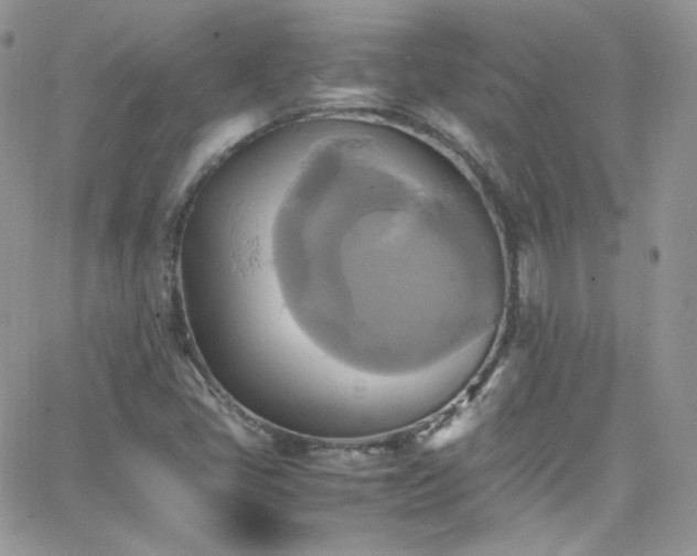 X0000066521405200603201312