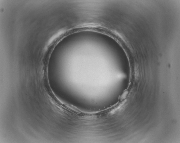 X0000066521406200603201312