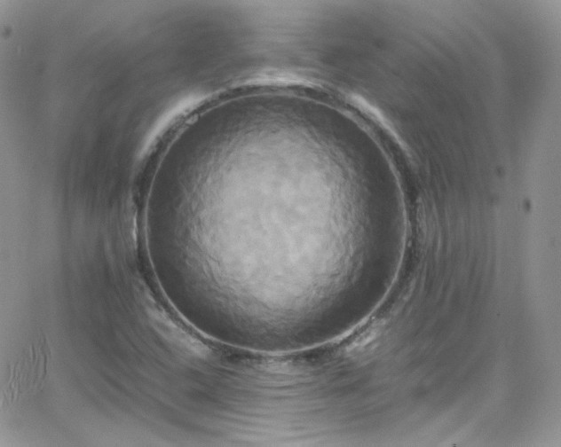 X0000066521408200603201312