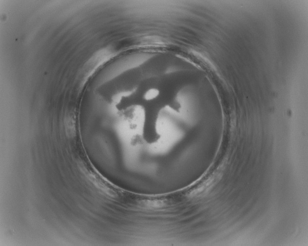 X0000066521409200603201312