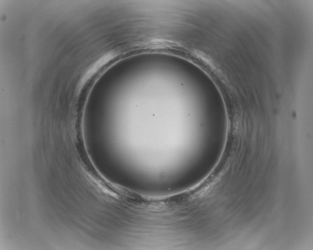 X0000066521410200603201312