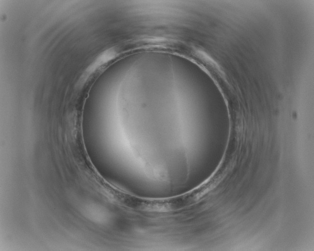 X0000066521411200603201312