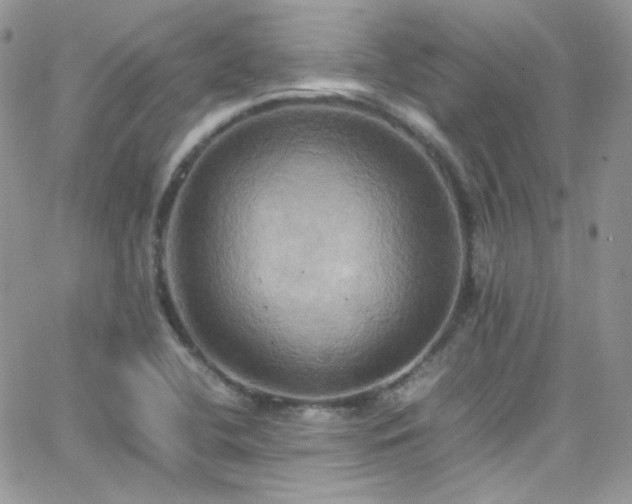 X0000066521412200603201312